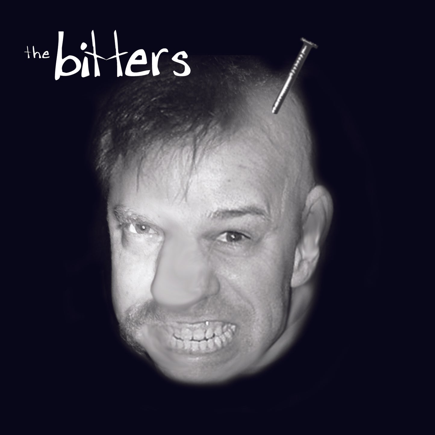 The Bitters - Digital Album